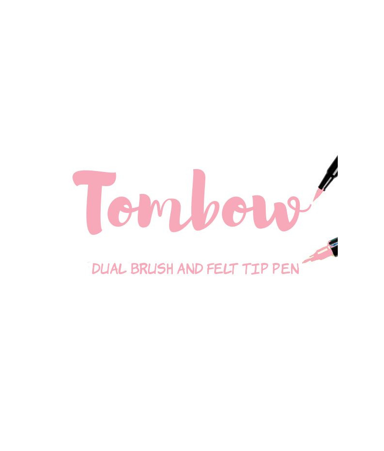 https://www.immaginelab.com/shop/10177-large_default/tombow-abt-772-blush-dual-brush-pen.jpg