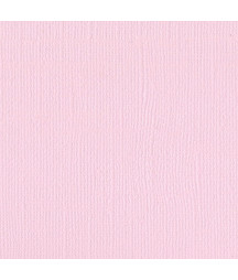 BAZZILL - Mono Canvas...