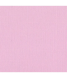 BAZZILL - Mono Canvas...