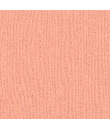 BAZZILL - Mono Canvas 12x12" coral cream - Confezione 10 fogli