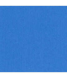 BAZZILL - Mono Canvas...