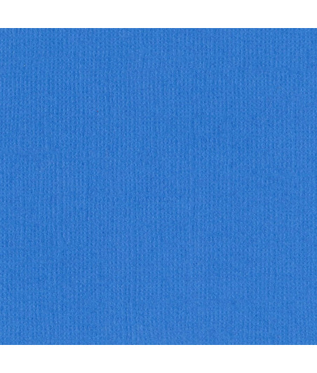 BAZZILL - Mono Canvas 12x12" pauly poo - Confezione 1 foglio