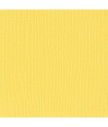 BAZZILL - Mono Canvas...