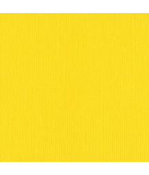 BAZZILL - Mono Canvas...