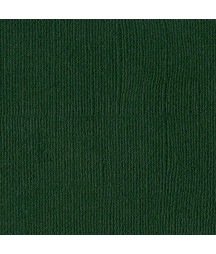 BAZZILL - Mono Canvas...