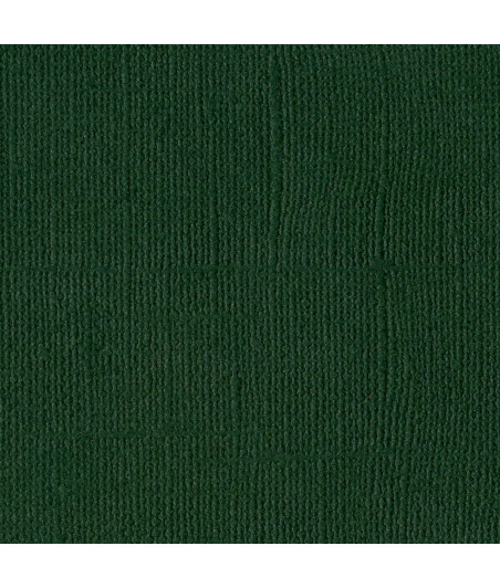 BAZZILL - Mono Canvas 12x12" aspen - Confezione 1 fogli