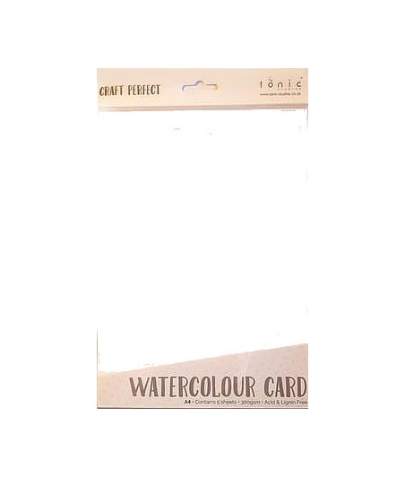 TONIC STUDIO - Watercolour card A4 300gr