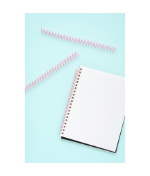 We R Memory - Cinch spiral Blush - Spirali Rosa