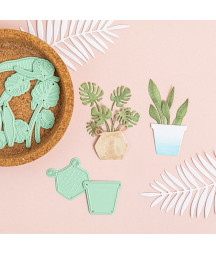 MINTOPIA - Plantas de Verano Summer Stories