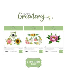 Tommy – Bundle Greenery + 2...