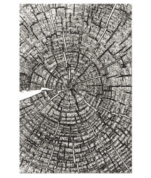 SIZZIX - 3D Texture Fades Cartella per Goffratura Tree Rings