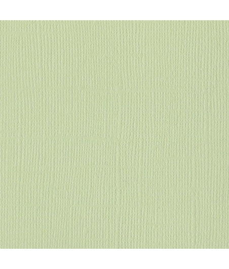 BAZZILL - Mono Canvas 12x12" aloe vera - Confezione 1 foglio