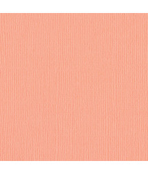 BAZZILL - Mono Canvas...