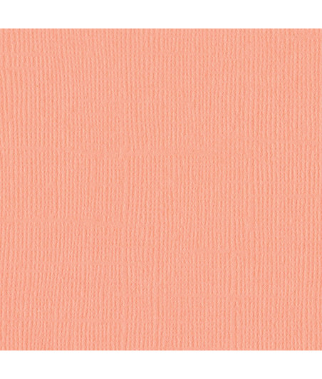 BAZZILL - Mono Canvas 12x12" coral cream - Confezione 12 fogli