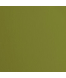 FLORENCE - Cartoncino con...