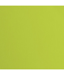 FLORENCE - Cartoncino con...