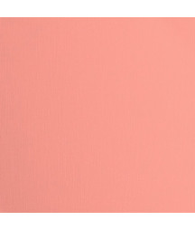 FLORENCE - Cartoncino con...