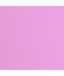 FLORENCE - Cartoncino con...