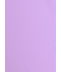 FLORENCE - Cartoncino con...