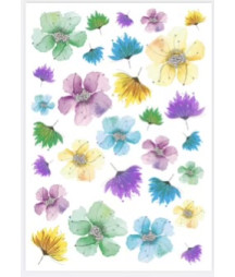 CartoLINE - Nintai - Fiori...