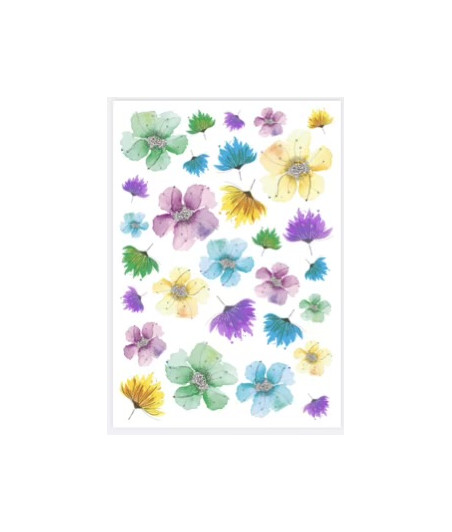 CartoLINE - Nintai - Fiori - By Silvia Andreis - Vellum